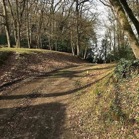 Nuit Sur Loire Treves-Cunault
