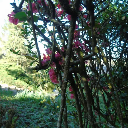 Nuit Sur Loire 3* Treves-Cunault